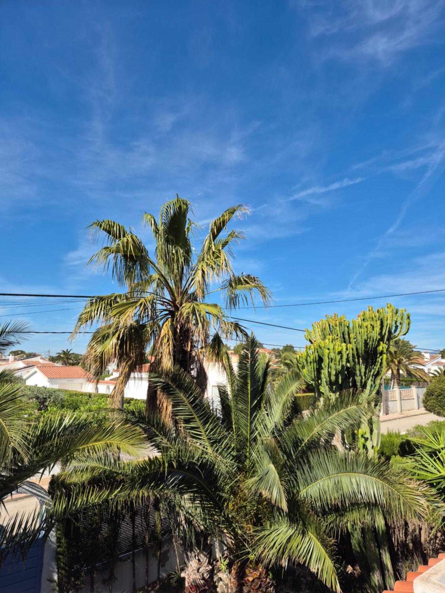 Casa Buganvilla Ла-Амеллья-де-Мар Экстерьер фото